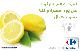 Légume frais à prix fou : Citron
