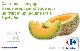 fruits frais à prix fou : Melon