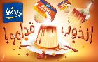 Flan YaB
