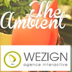 Wezign agence interactive recrute des Accounts manager