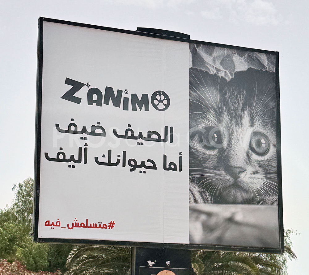 Campagne Z'animo  - Juillet 2024