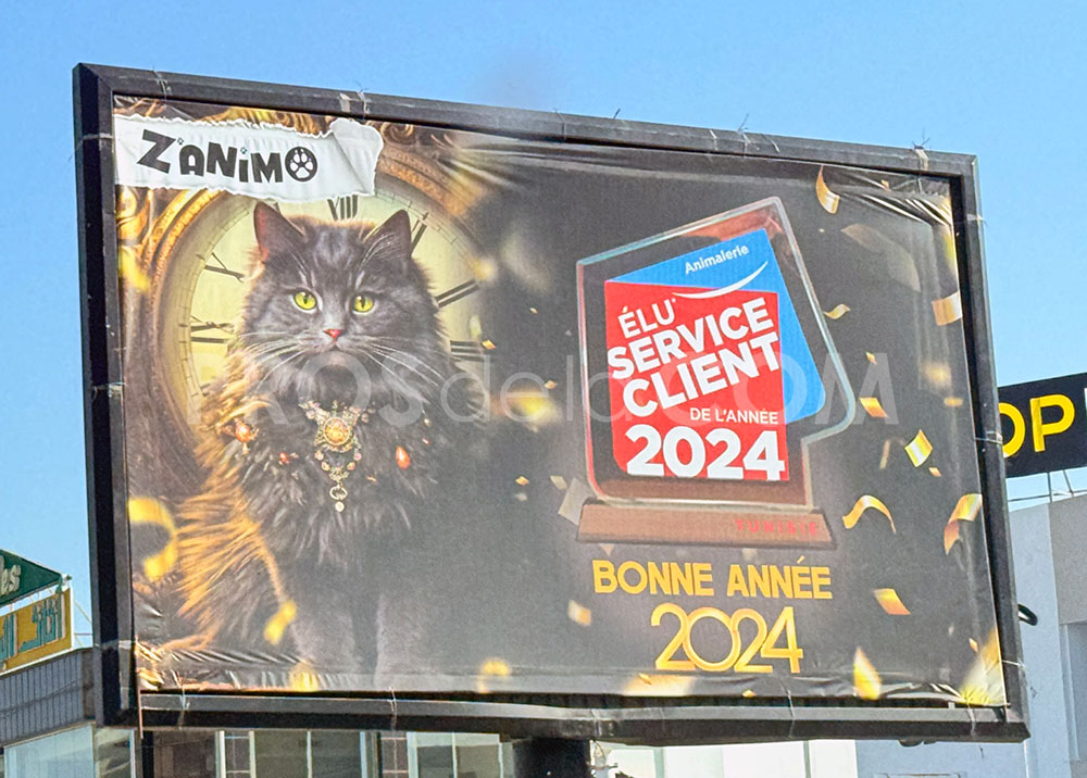 Campagne Z'animo- Janvier 2024